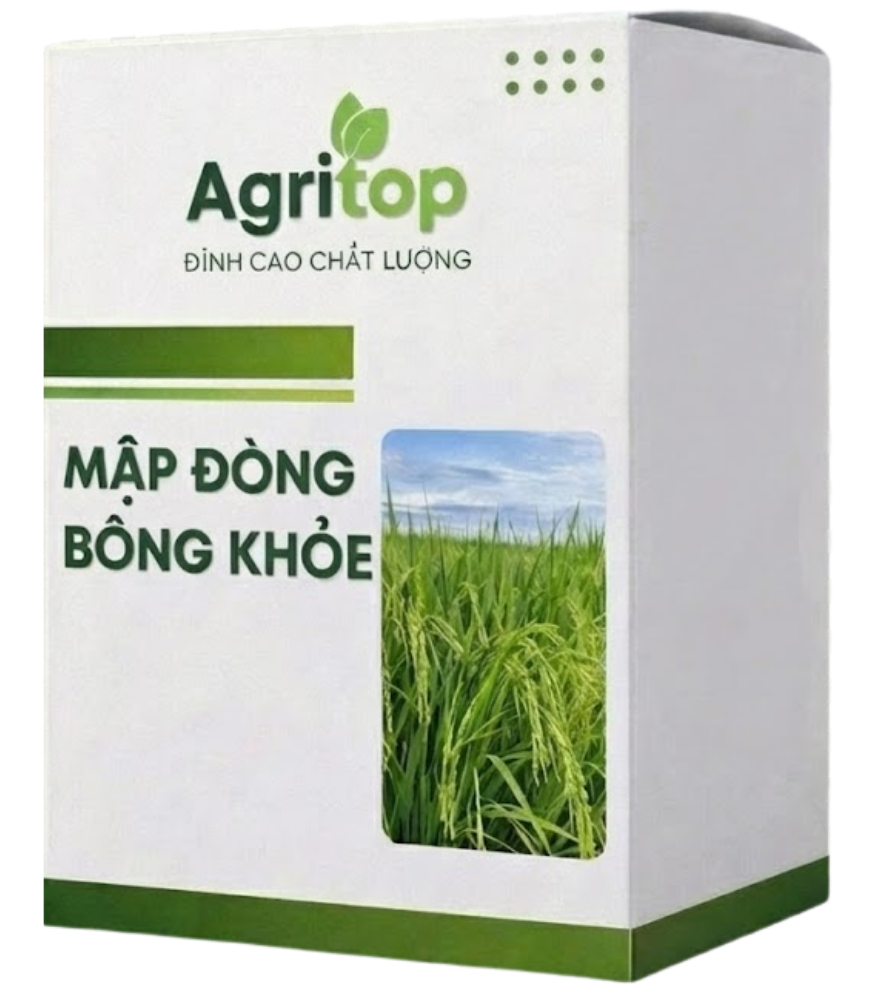 Ứng dụng công nghệ – Tăng năng suất bền vững